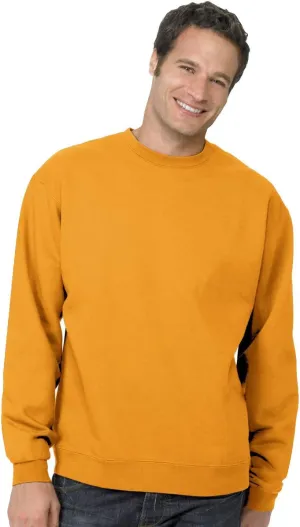 Hanes Men's EcoSmart Sweatshirt